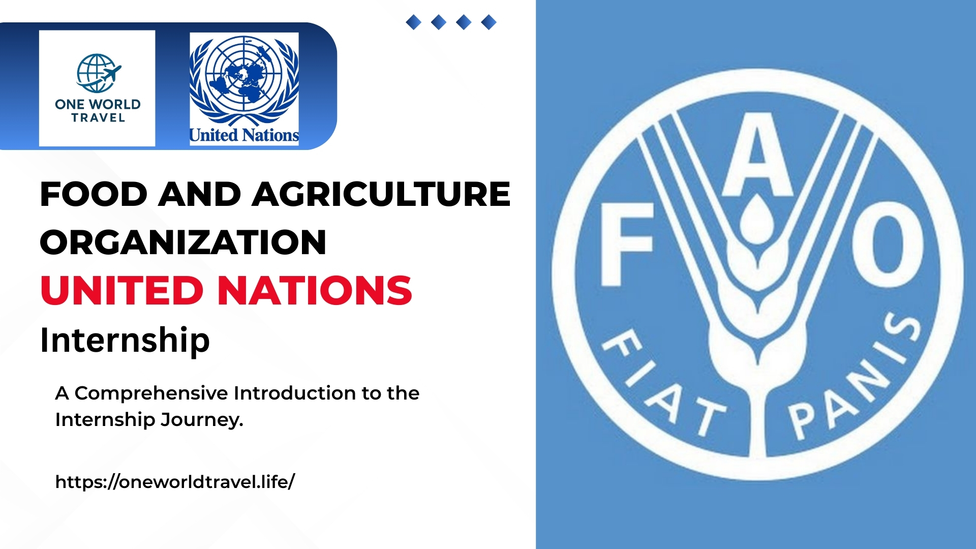 FAO Internship 2026 – Paid Internship for Students